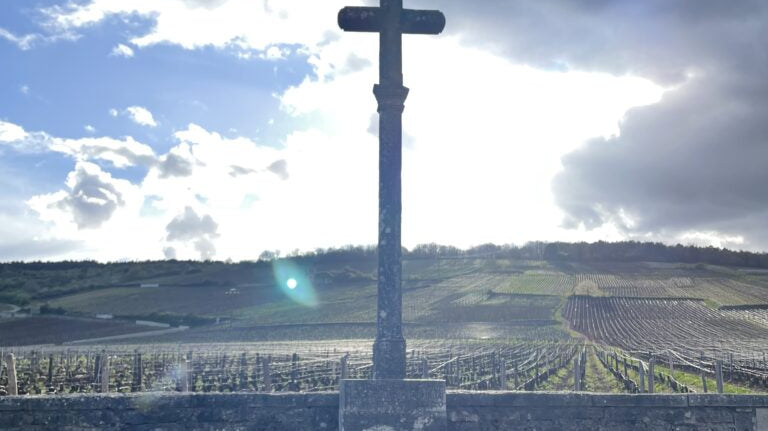 フランスワイン生産者を訪ねる旅 2023年 No.18 〜ブルゴーニュ (コート・ドール)〜 - 恵比寿ワインマート