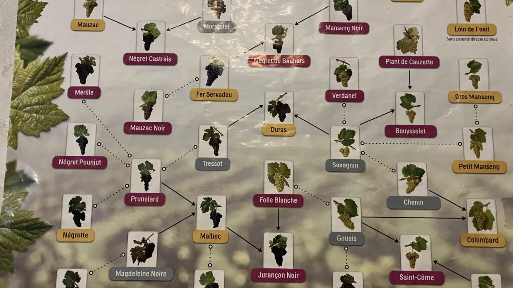 フランスワイン生産者を訪ねる旅 2023年 No.11 〜ブルゴーニュから南西地方へ大移動〜 - 恵比寿ワインマート