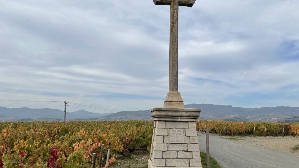 フランスワイン生産者を訪ねる旅 2022年 No.4 ~ヌーヴォーが解禁間近のボジョレー編~ - 恵比寿ワインマート