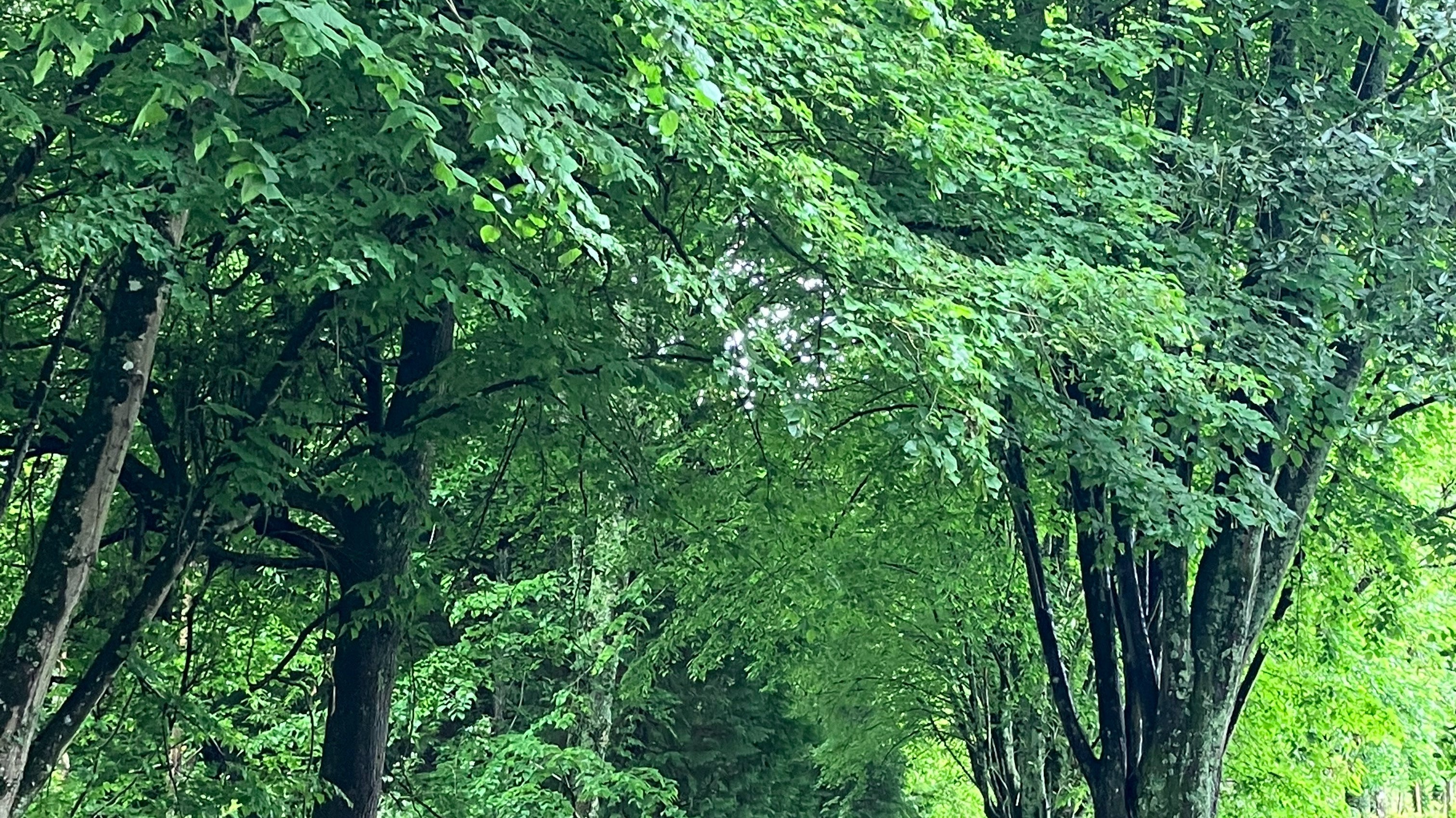 フランスワイン生産者を訪ねる旅 2023年 No.13 〜南西地方の銘醸白ワイン ジュランソン〜 - 恵比寿ワインマート