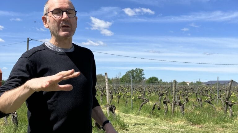 フランスワイン生産者を訪ねる旅2024年 No.3 〜トゥールーズの東、南西地方の地酒ガイヤック〜 - 恵比寿ワインマート