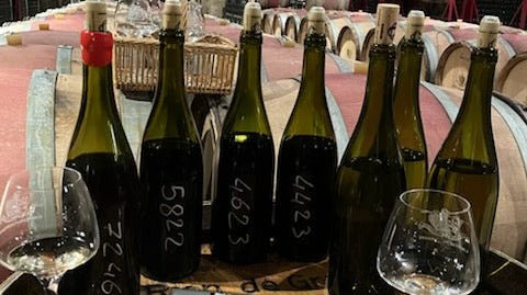 フランスワイン生産者を巡る旅2025年 No.8 ブルゴーニュ地方コート・ドールを巡る2日目 - 恵比寿ワインマート