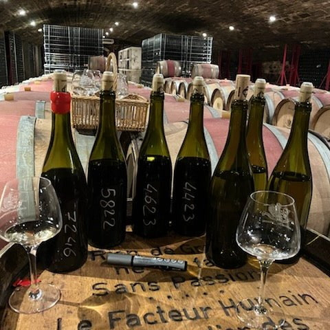 フランスワイン生産者を巡る旅2025年 No.8 ブルゴーニュ地方コート・ドールを巡る2日目 - 恵比寿ワインマート