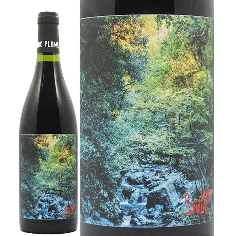 ドメーヌ・ブラン・プリュム GR - 36 ルージュ 2020 - 恵比寿ワインマート