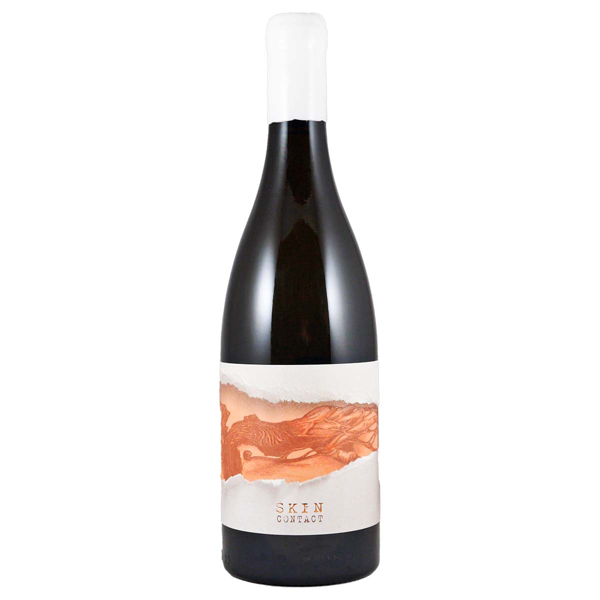 ダッシュボッシュ・ワイナリー スキンコンタクト 2024 - 恵比寿ワインマート