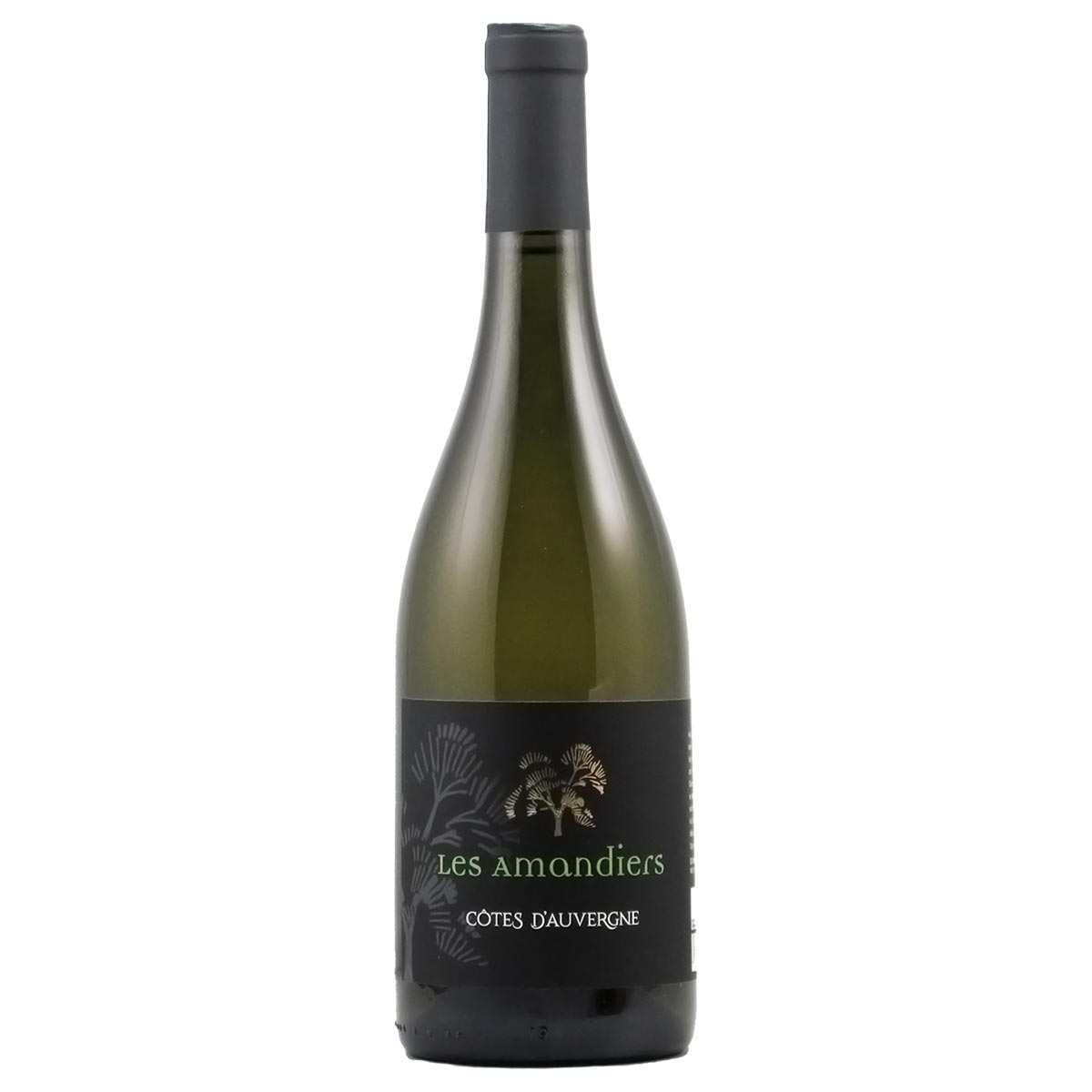 コート・ドーヴェルニュ レ・ザマンディエール 2023 ドメーヌ・ド・ラ・クロワ・アルパン - 恵比寿ワインマート