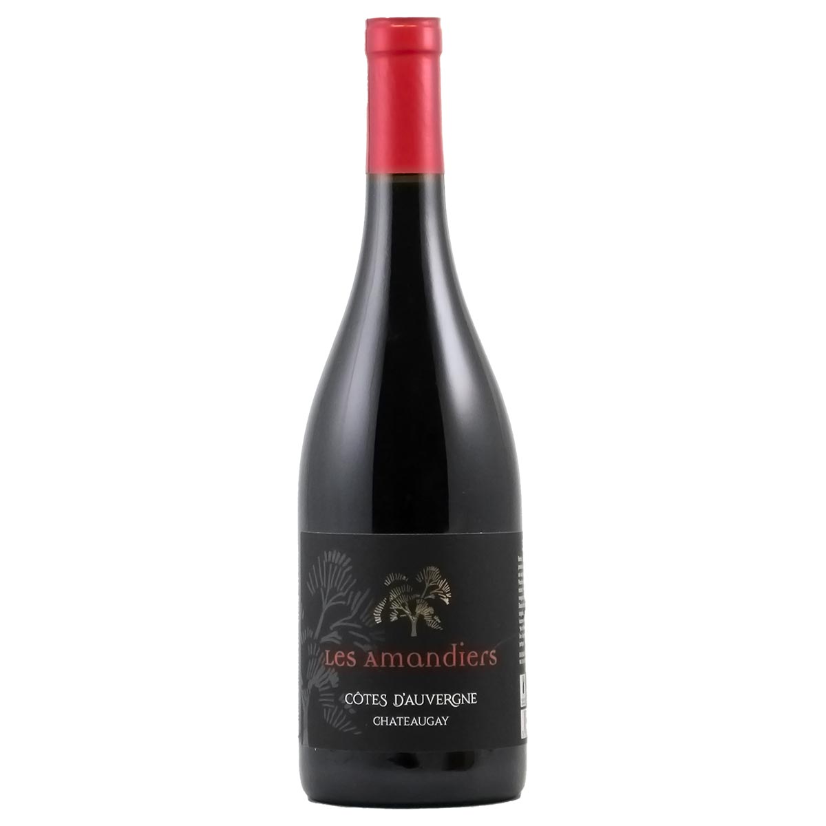 コート・ドーヴェルニュ レ・ザアマンディエール 2023 ドメーヌ・ド・ラ・クロワ・アルパン - 恵比寿ワインマート