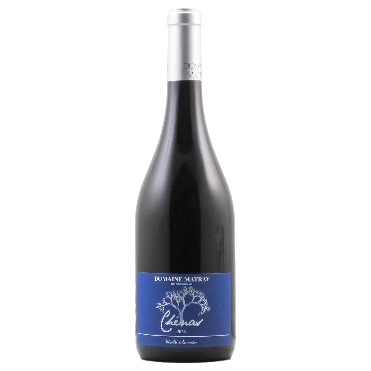シェナ 2023 ドメーヌ・マトレー - 恵比寿ワインマート