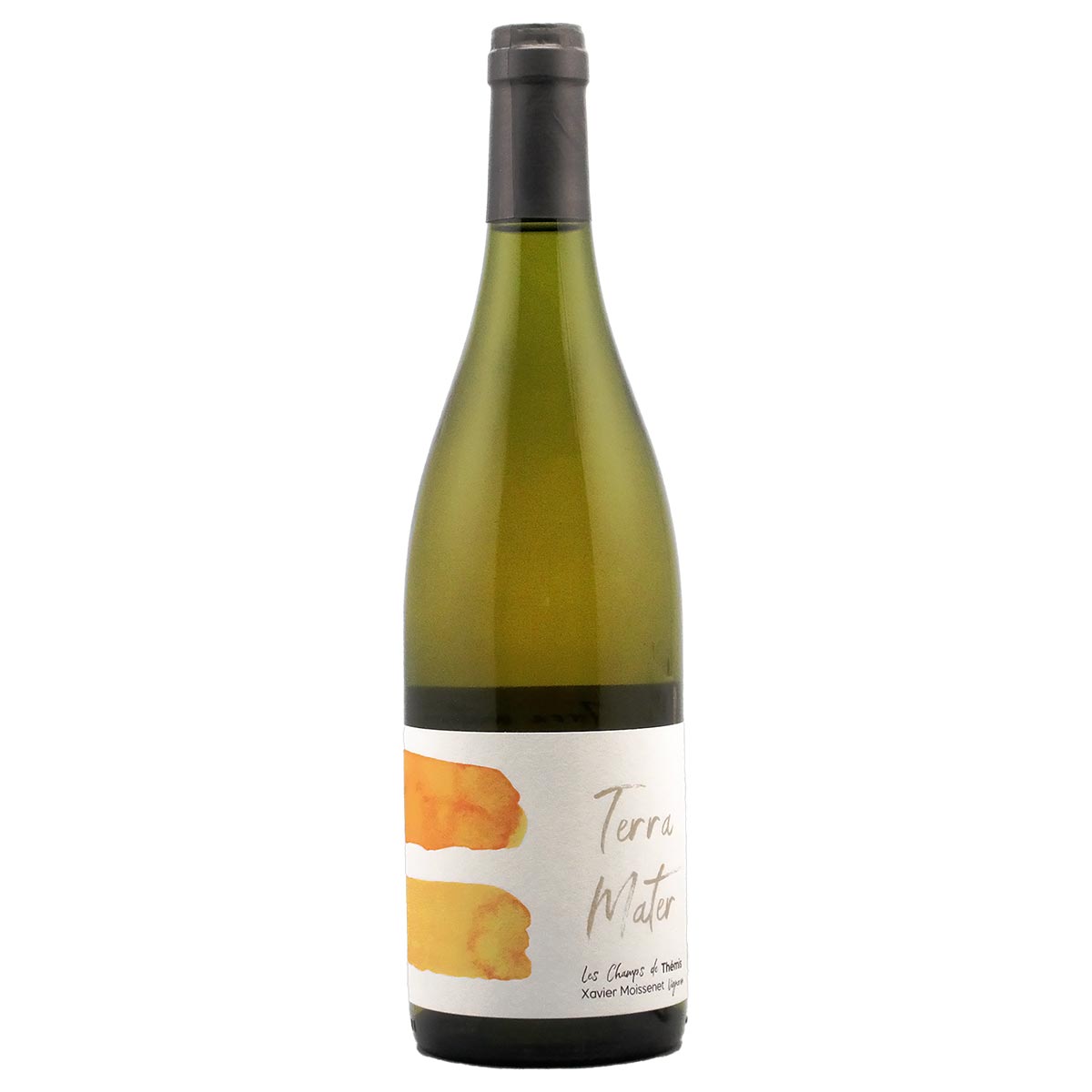 テラ・マテル・ブラン 2021 レ・シャン・ド・テミ - 恵比寿ワインマート