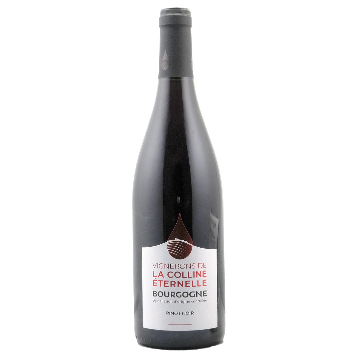 ブルゴーニュ・ピノ・ノワール 2023 ラ・コリーヌ・エトゥルネル - 恵比寿ワインマート