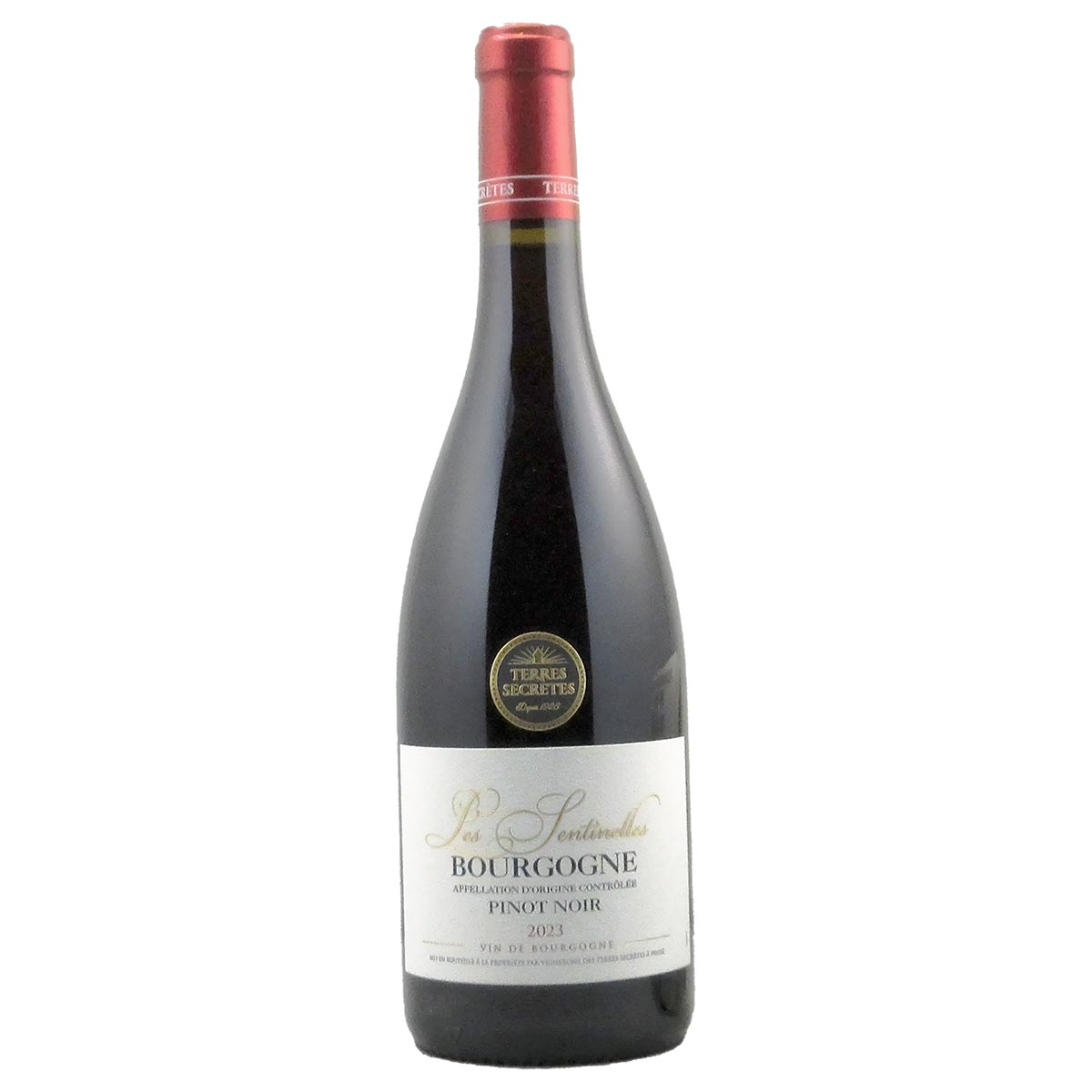 ブルゴーニュ・ピノ・ノワール レ・センティネル 2023 テール・セクレ - 恵比寿ワインマート