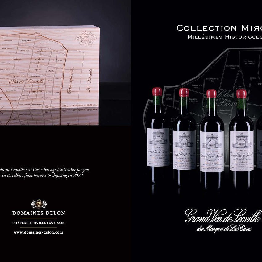 レオヴィル・ラスカーズ コレクション・ミロワール - サン・ジュリアン - 恵比寿ワインマート