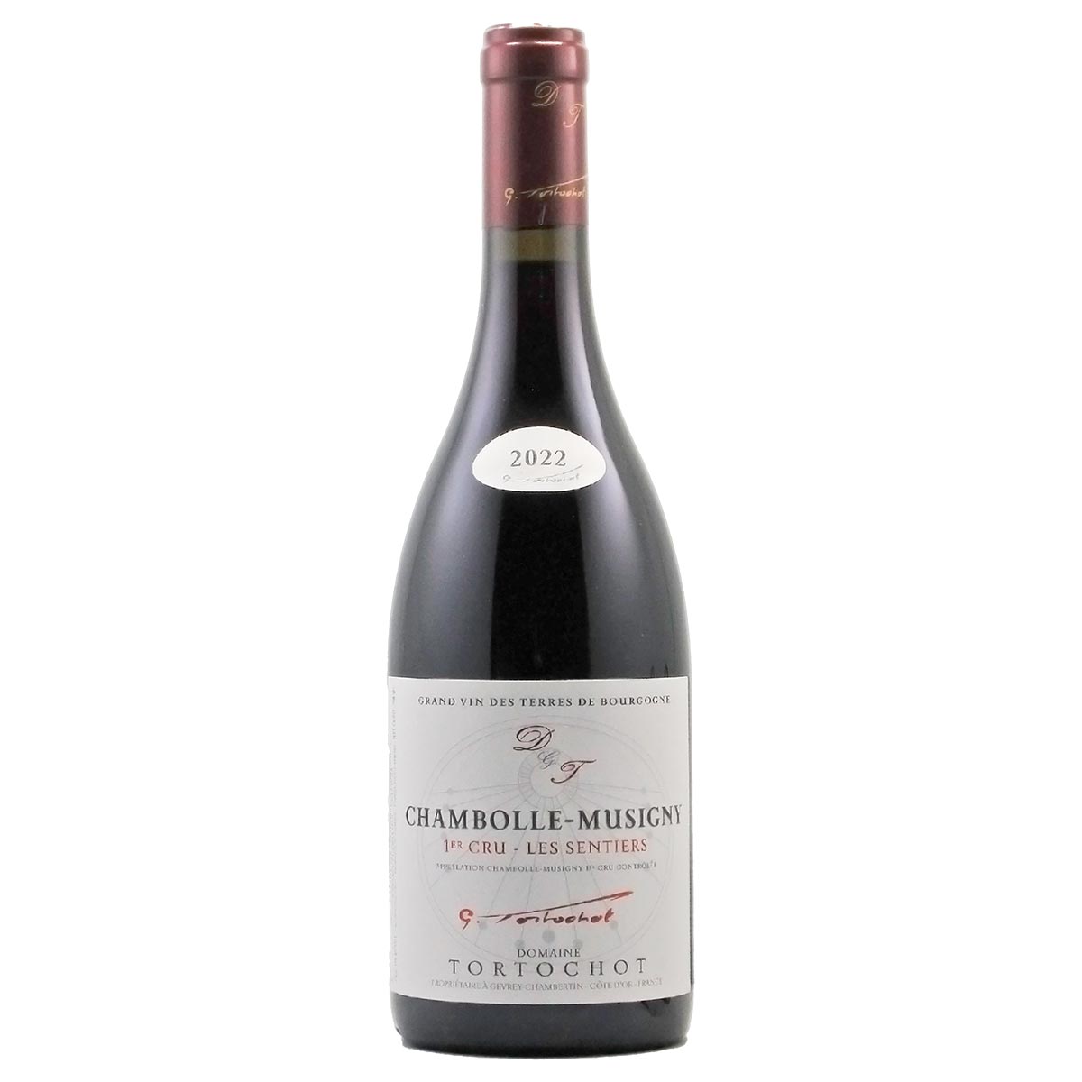 シャンボール・ミュジニー レ・サンティエ 2022 トルトショ - 恵比寿ワインマート