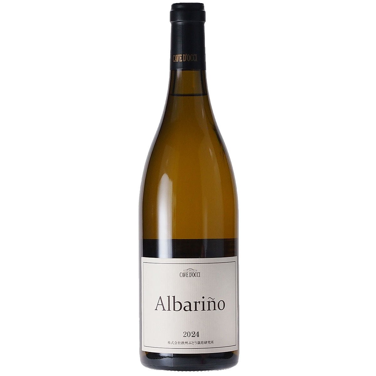 カーブドッチ アルバリーニョ 2024 - 恵比寿ワインマート