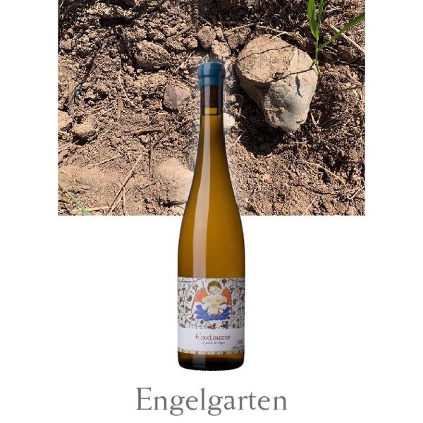 マルセル・ダイス エディシオン・リミテ 9本セット - 恵比寿ワインマート