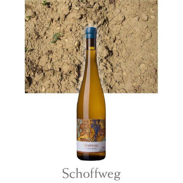 マルセル・ダイス エディシオン・リミテ 9本セット - 恵比寿ワインマート