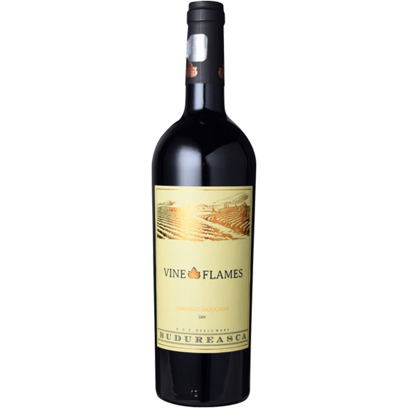 ヴィル・ブドゥレアスカ ヴァイン・イン・フレイム カベルネ・ソ-ヴィニヨン 2019 - 恵比寿ワインマート