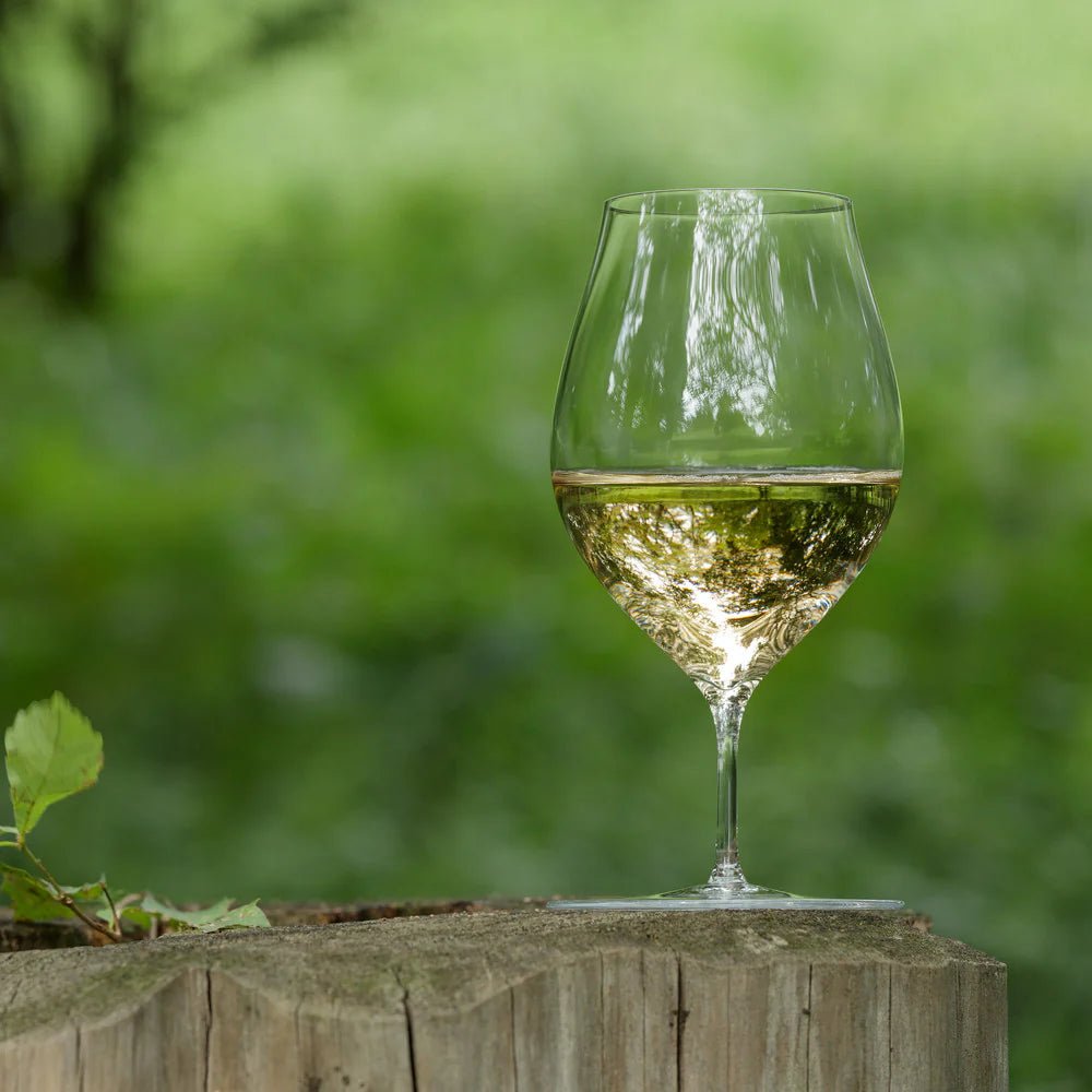 木村硝子店 kojitani travelwineglass (360cc) - 恵比寿ワインマート