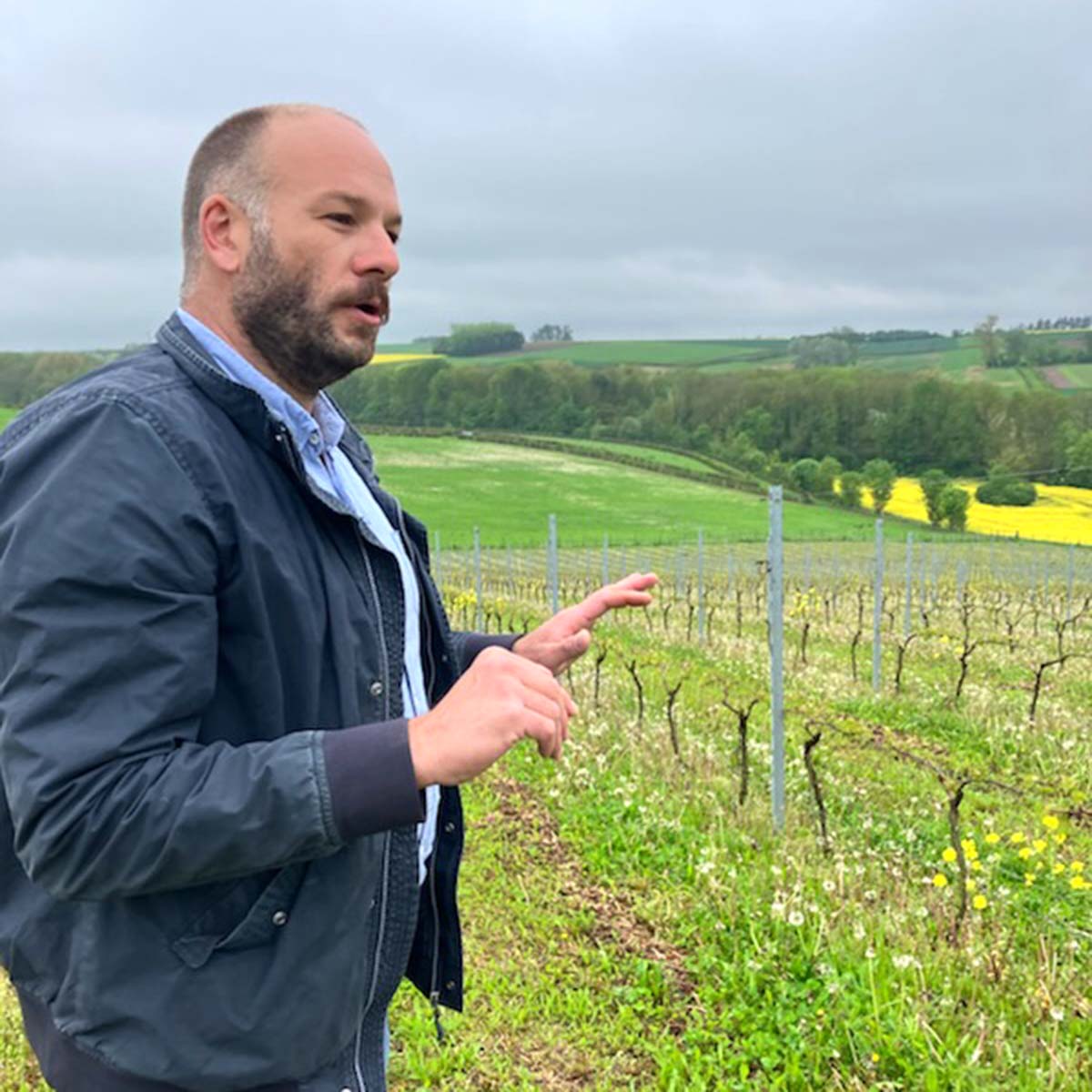 ヴァン・ド・フランス シャルドネ 2021 クール・ド・ベレニス - 恵比寿ワインマート