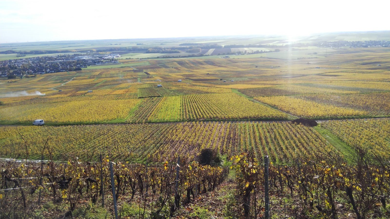 フランスワイン生産者を訪ねる旅　2023年　No.7　～シャンパーニュ編～　 - 恵比寿ワインマート