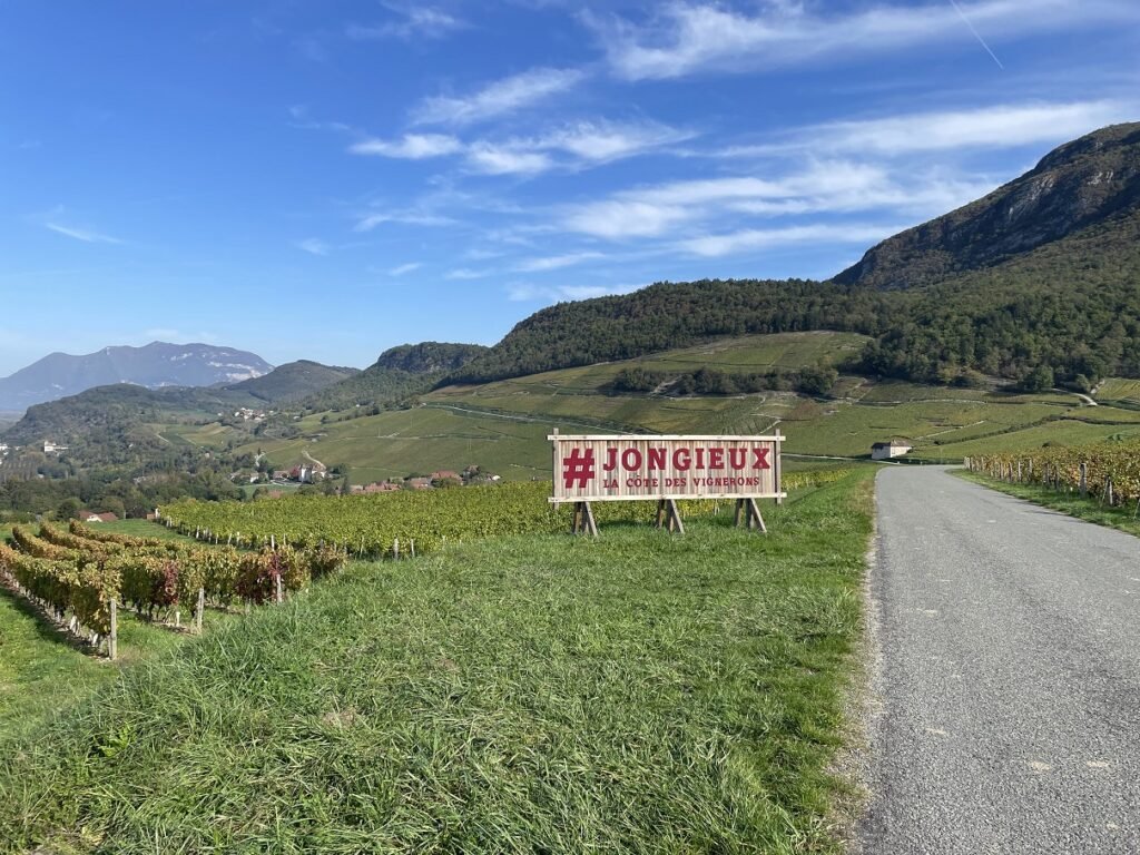 フランスワイン生産者を訪ねる旅　2022年　No.3　～サヴォワ編～ - 恵比寿ワインマート