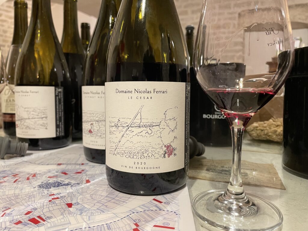 フランスワイン生産者を訪ねる旅　2023年　No.16　〜イランシー〜 - 恵比寿ワインマート