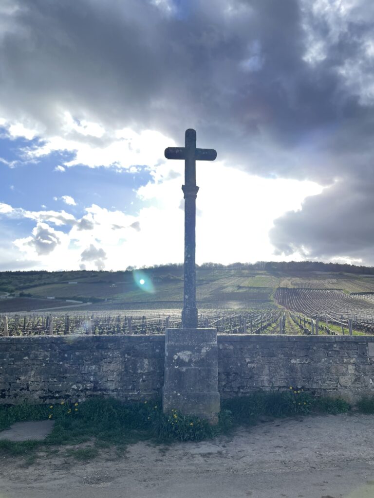 フランスワイン生産者を訪ねる旅　2023年　No.18　〜ブルゴーニュ (コート・ドール)〜 - 恵比寿ワインマート