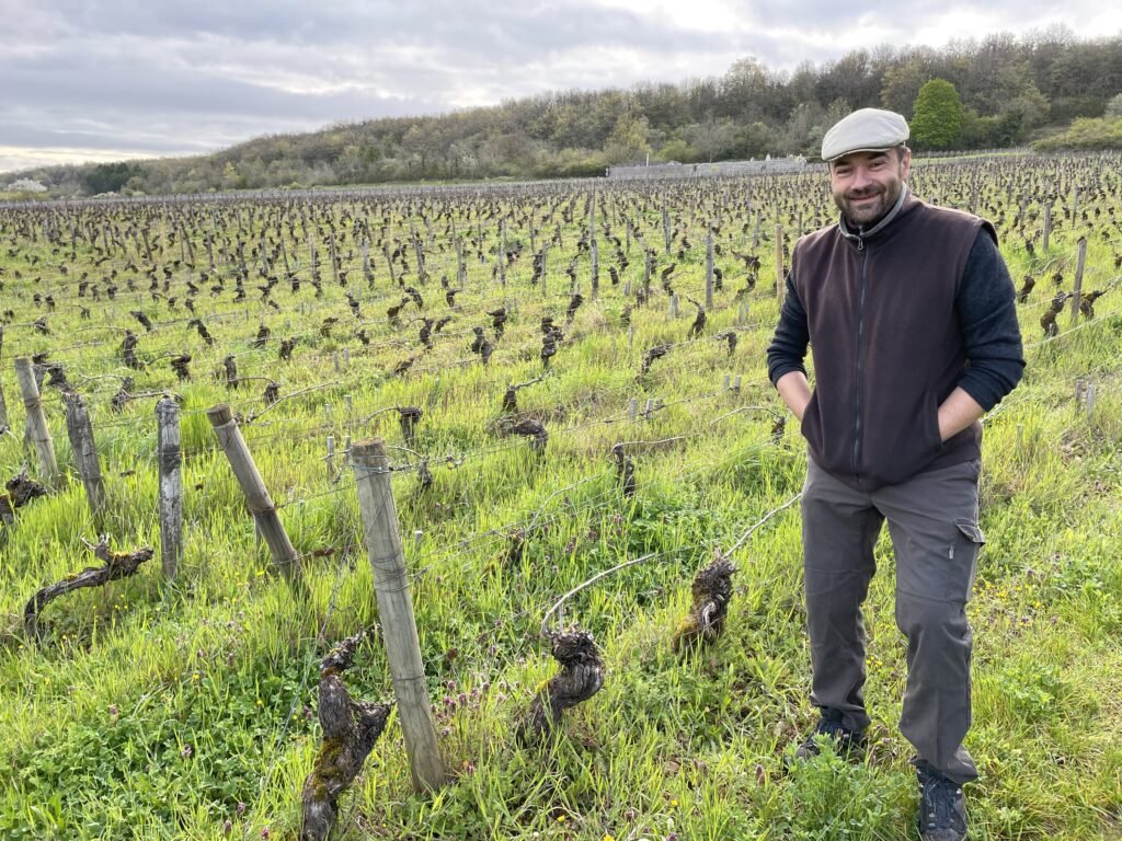 フランスワイン生産者を訪ねる旅　2023年　No.19　〜ブルゴーニュ南部へ〜 - 恵比寿ワインマート