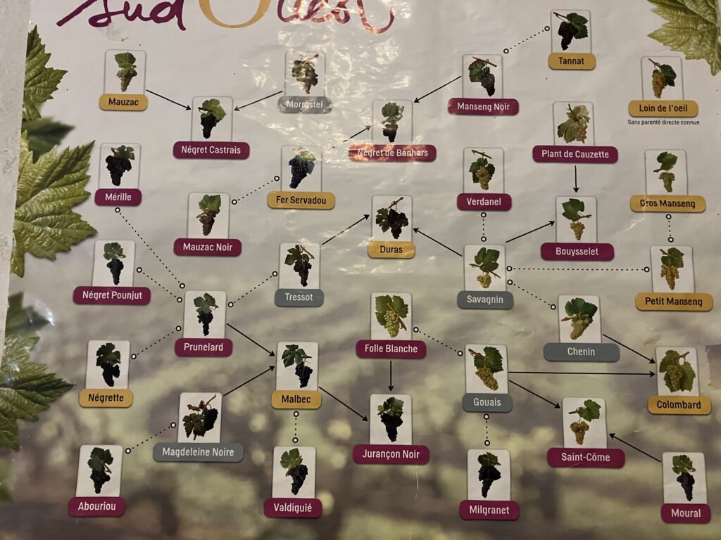 フランスワイン生産者を訪ねる旅　2023年　No.11　〜ブルゴーニュから南西地方へ大移動〜 - 恵比寿ワインマート