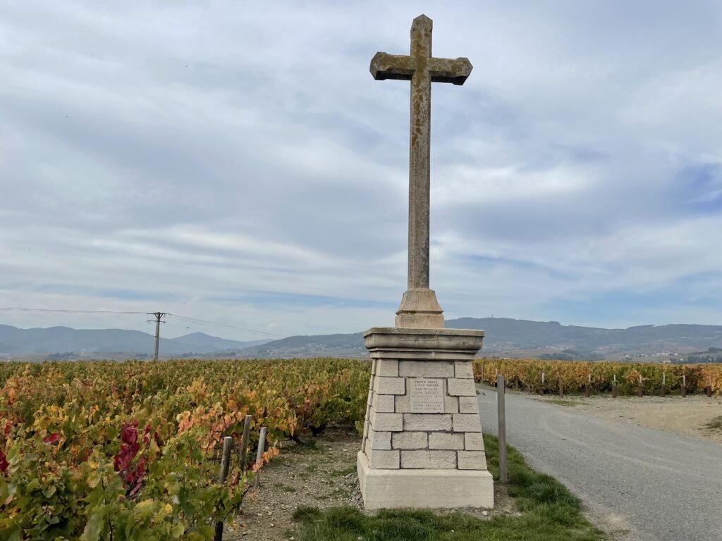 フランスワイン生産者を訪ねる旅　2022年　No.4　～ヌーヴォーが解禁間近のボジョレー編～ - 恵比寿ワインマート