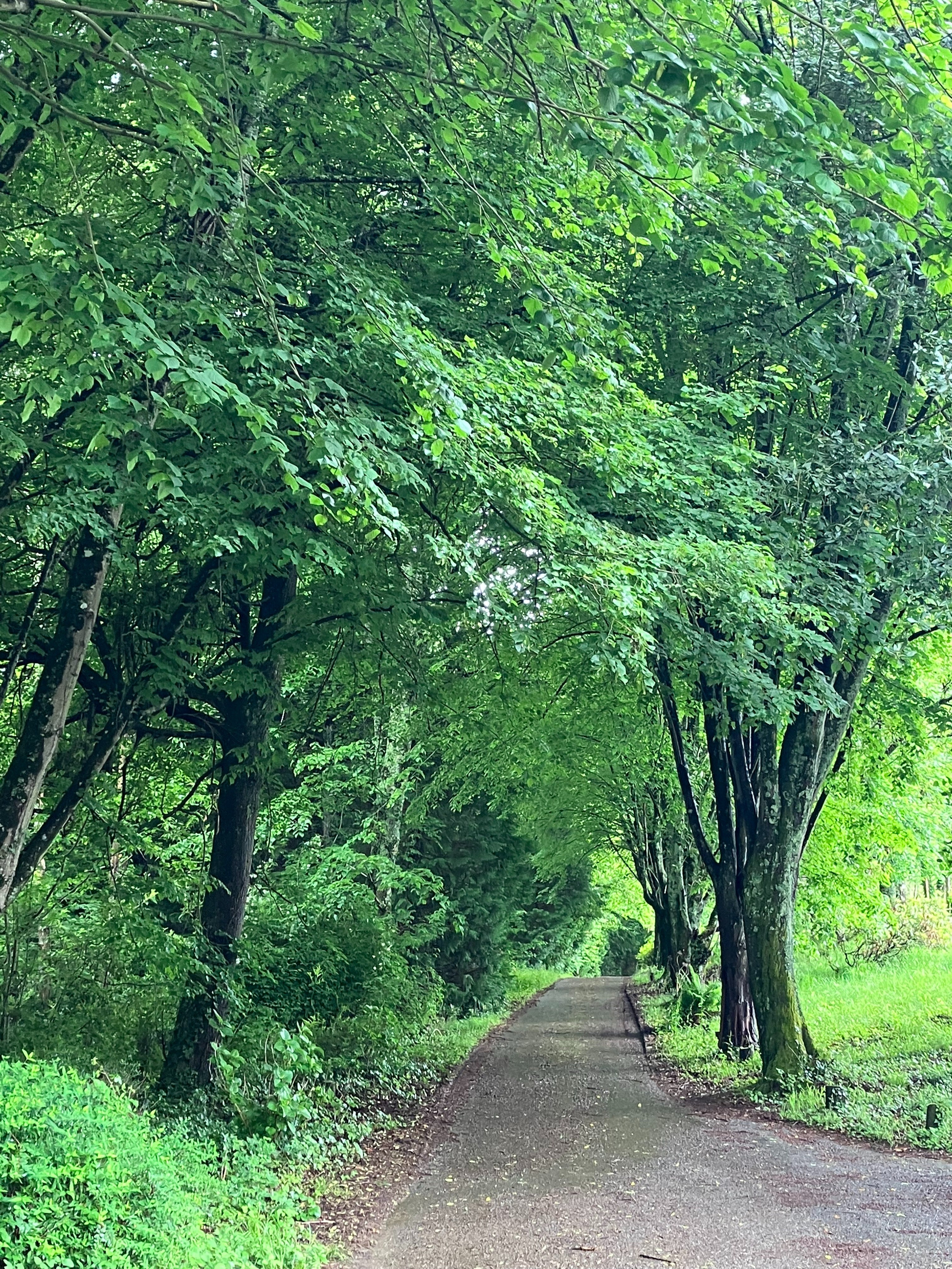 フランスワイン生産者を訪ねる旅　2023年　No.13　〜南西地方の銘醸白ワイン ジュランソン〜 - 恵比寿ワインマート