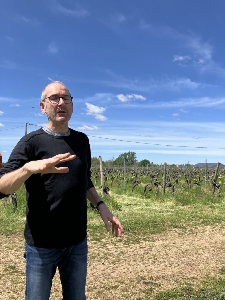 フランスワイン生産者を訪ねる旅2024年　No.3　〜トゥールーズの東、南西地方の地酒ガイヤック〜 - 恵比寿ワインマート