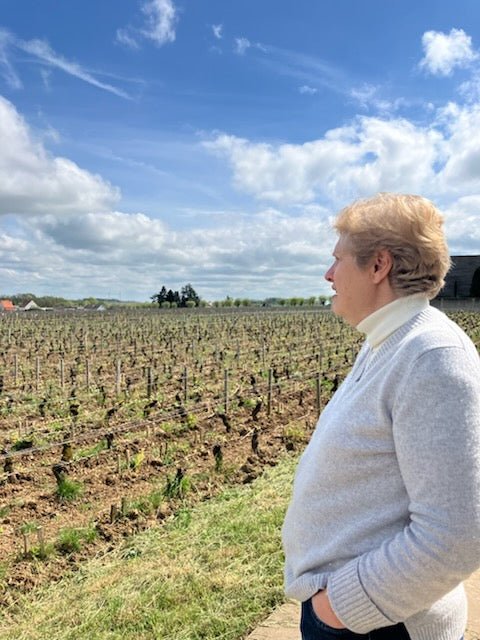 フランスワイン生産者を巡る旅2025年 No.7 ブルゴーニュ地方コート・ドールを巡る1日目 - 恵比寿ワインマート