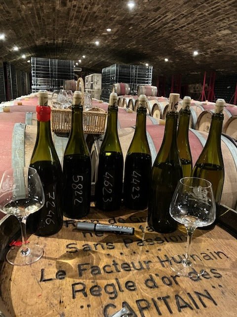 フランスワイン生産者を巡る旅2025年 No.8 ブルゴーニュ地方コート・ドールを巡る2日目 - 恵比寿ワインマート