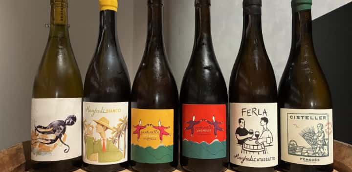 VinAmis試飲会2　～イタリアワイン5種とスペインワイン1種の6杯試飲セット～ - 恵比寿ワインマート
