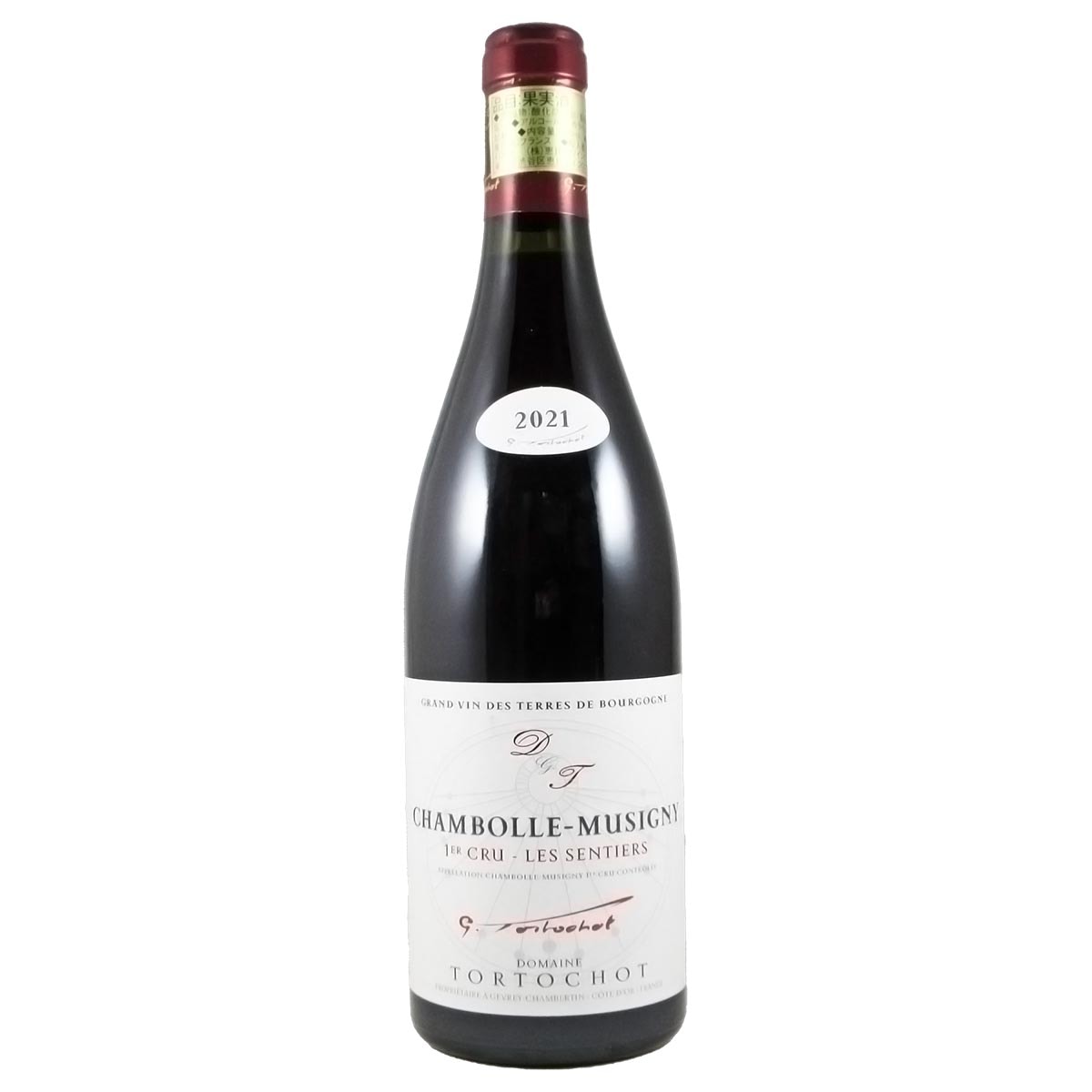 シャンボール・ミュジニー レ・サンティエ 2021 トルトショ – 恵比寿