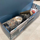 コーラル・ワイン　ヴィッラ・カネストラリ　 アマローネ・デッラ・ヴァルポリチェッラ D.O.C.G. 2016（海底熟成） - 恵比寿ワインマート