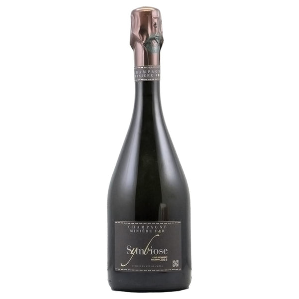 105004334_grande.jpg?v=1743668097