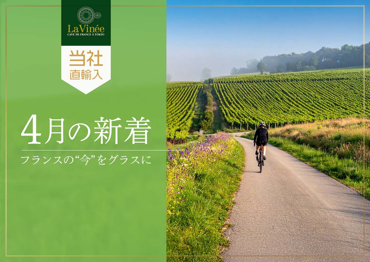 4月の新着フランスワイン
