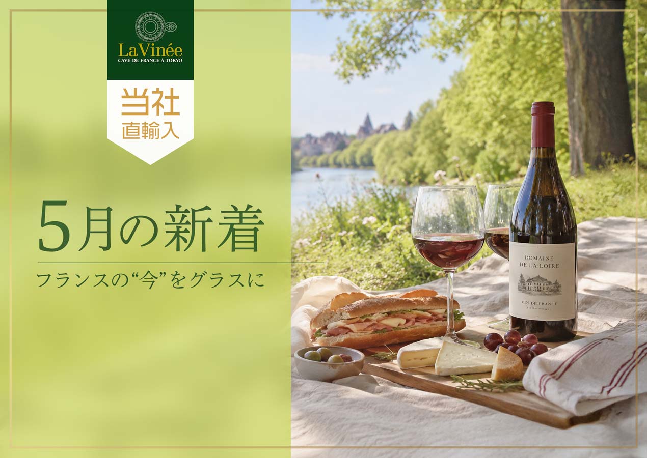 5月の新着フランスワイン