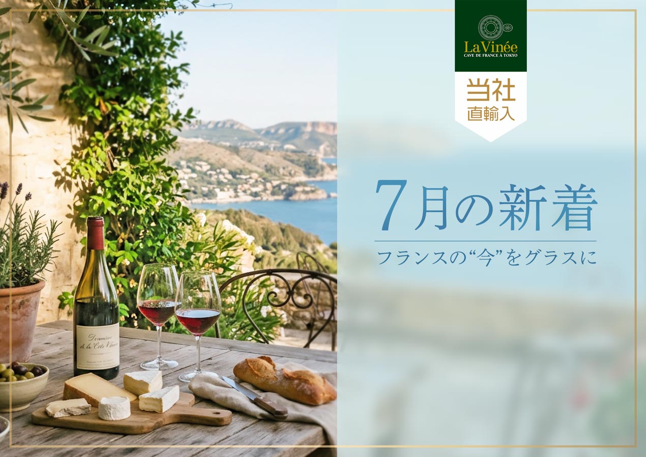7月の新着フランスワイン