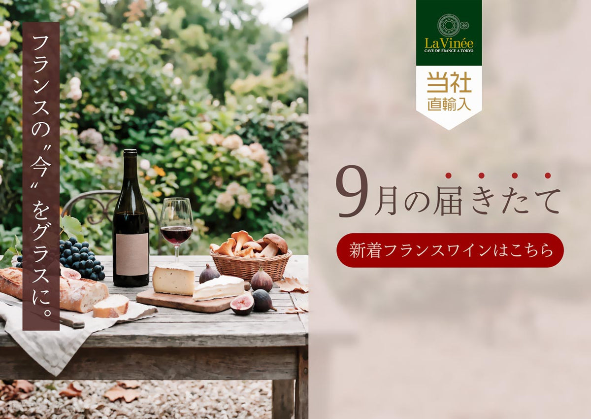 9月の新着フランスワイン