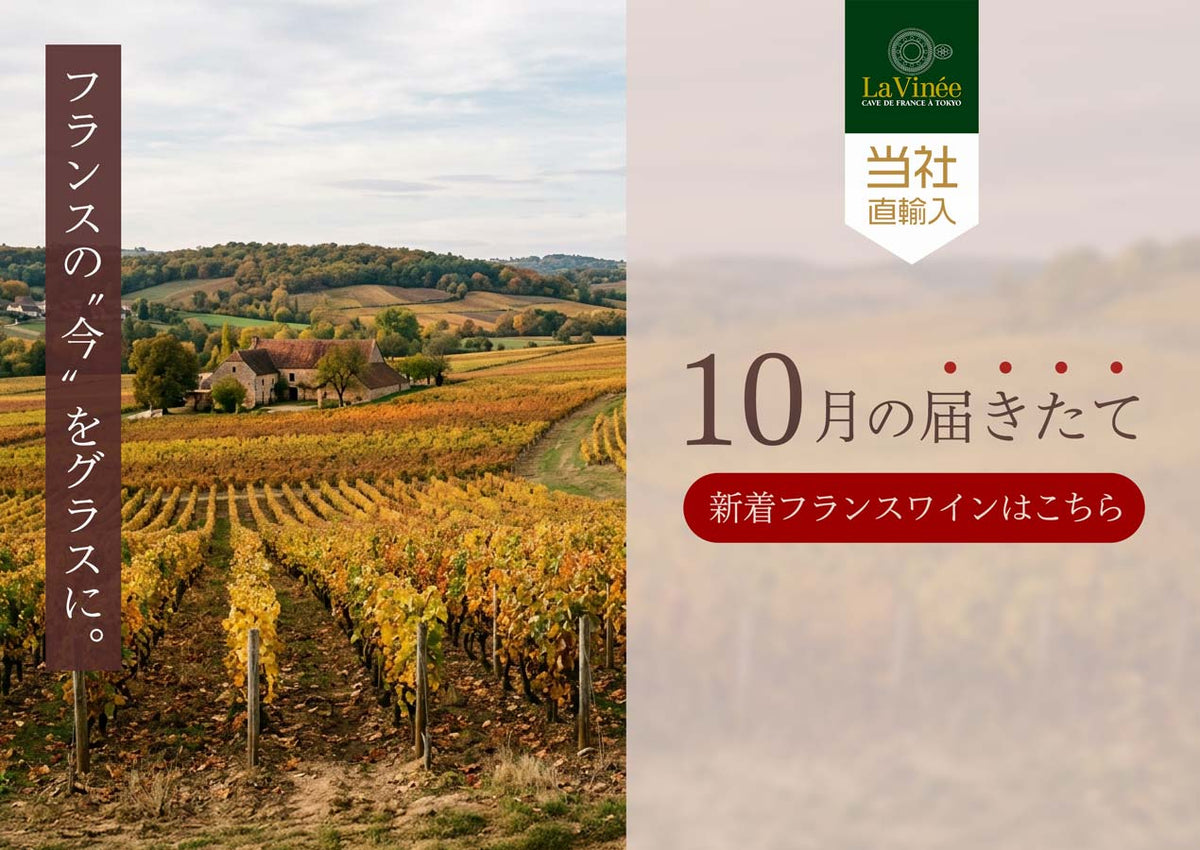 10月の新着フランスワイン