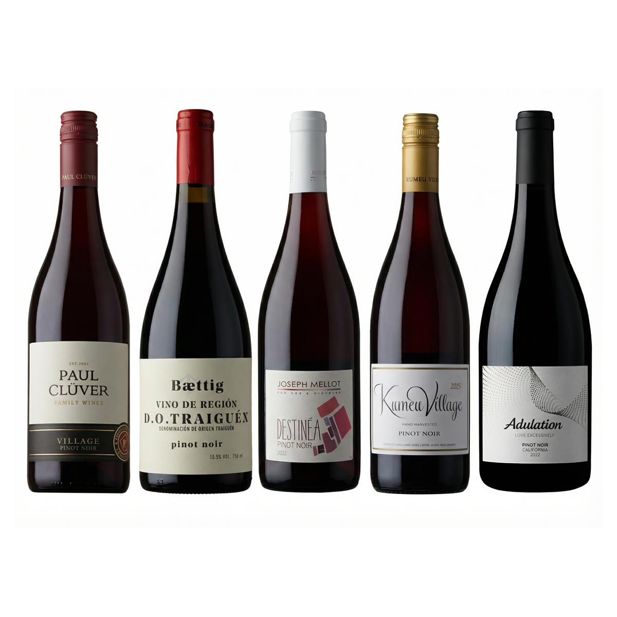 主要産地をコンプリート！世界5カ国のピノ・ノワール5本セット - 恵比寿ワインマート