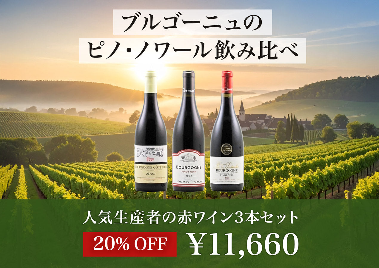 ブルゴーニュのピノ・ノワール飲み比べ！人気生産者の2022年赤ワイン3本セット